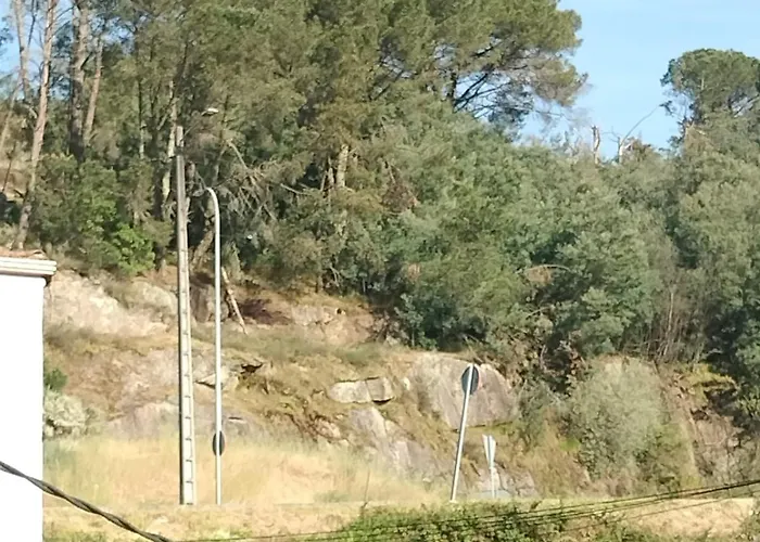 Entre Vinas Y Termas - Lägenhet Ribadavia